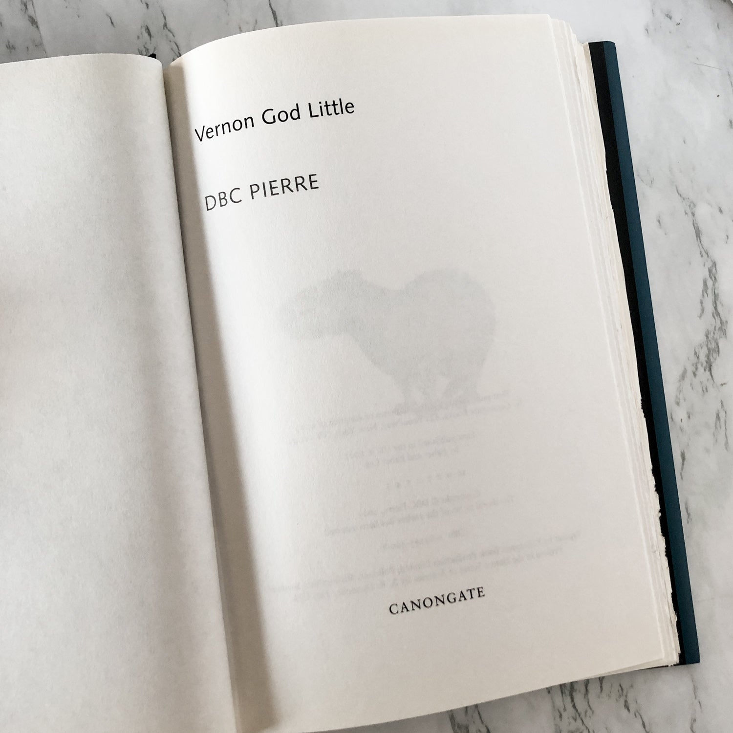 Vernon God Little by D.B.C. Pierre [FIRST EDITION] - Bookshop Apocalypse