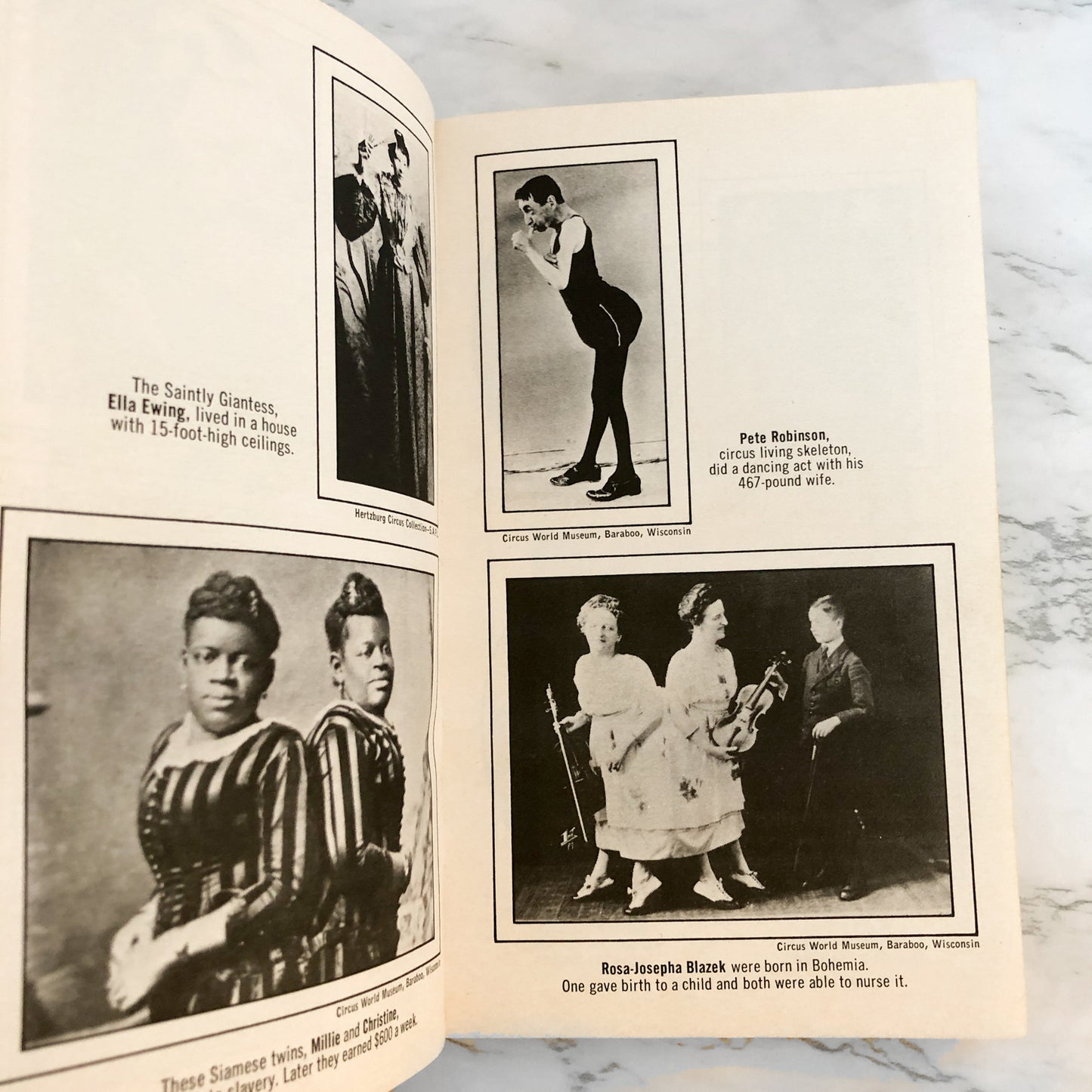 Very Special People: The Struggles, Loves & Triumphs of Human Oddities by Frederick Drimmer [FIRST PAPERBACK PRINTING]