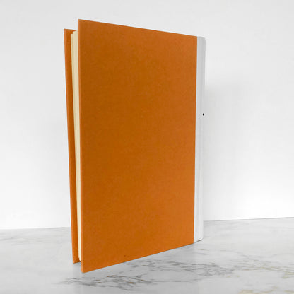 The Virgin Suicides by Jeffrey Eugenides [FIRST EDITION • FIRST PRINTING] 1993