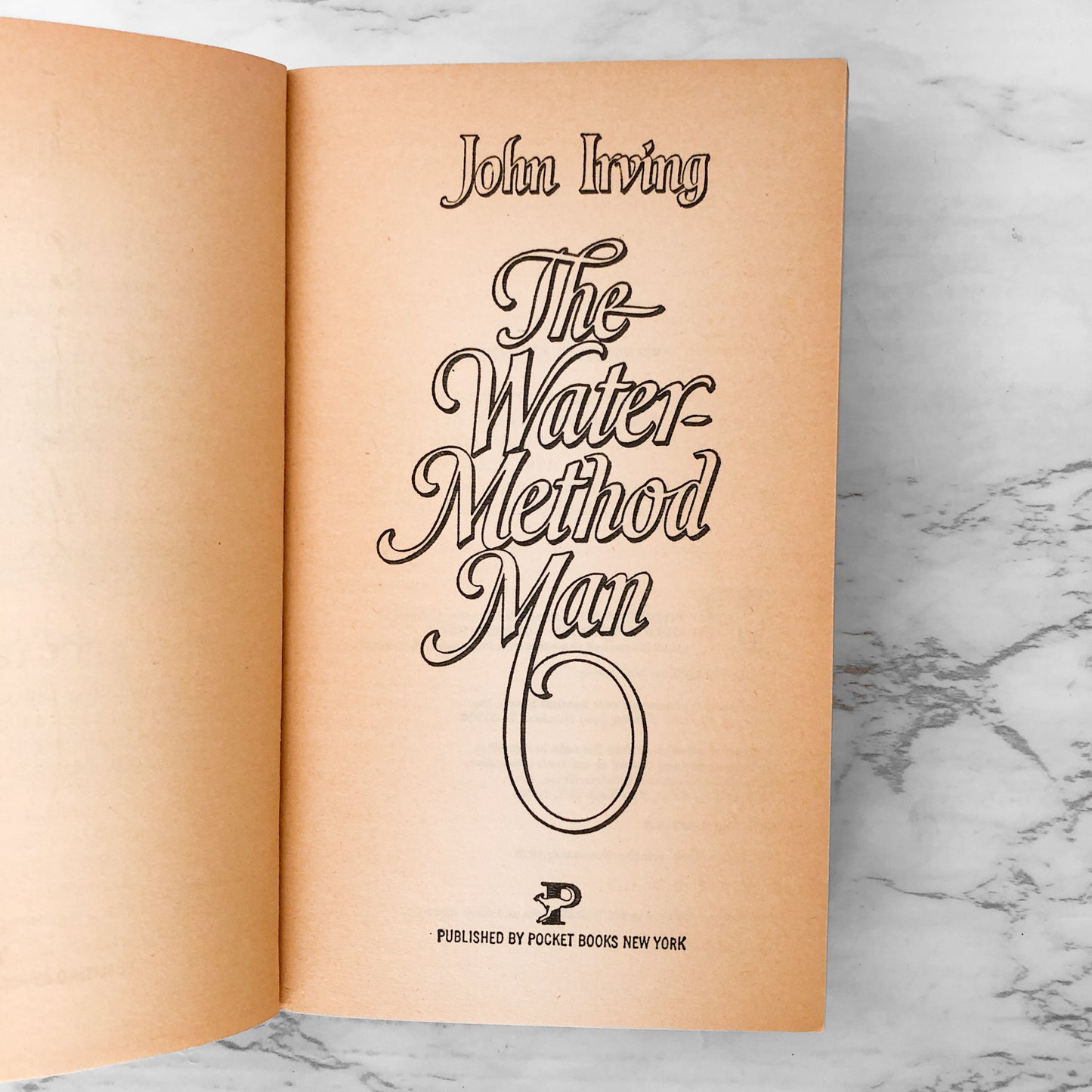 The Water Method Man by John Irving [FIRST PAPERBACK EDITION] 1978