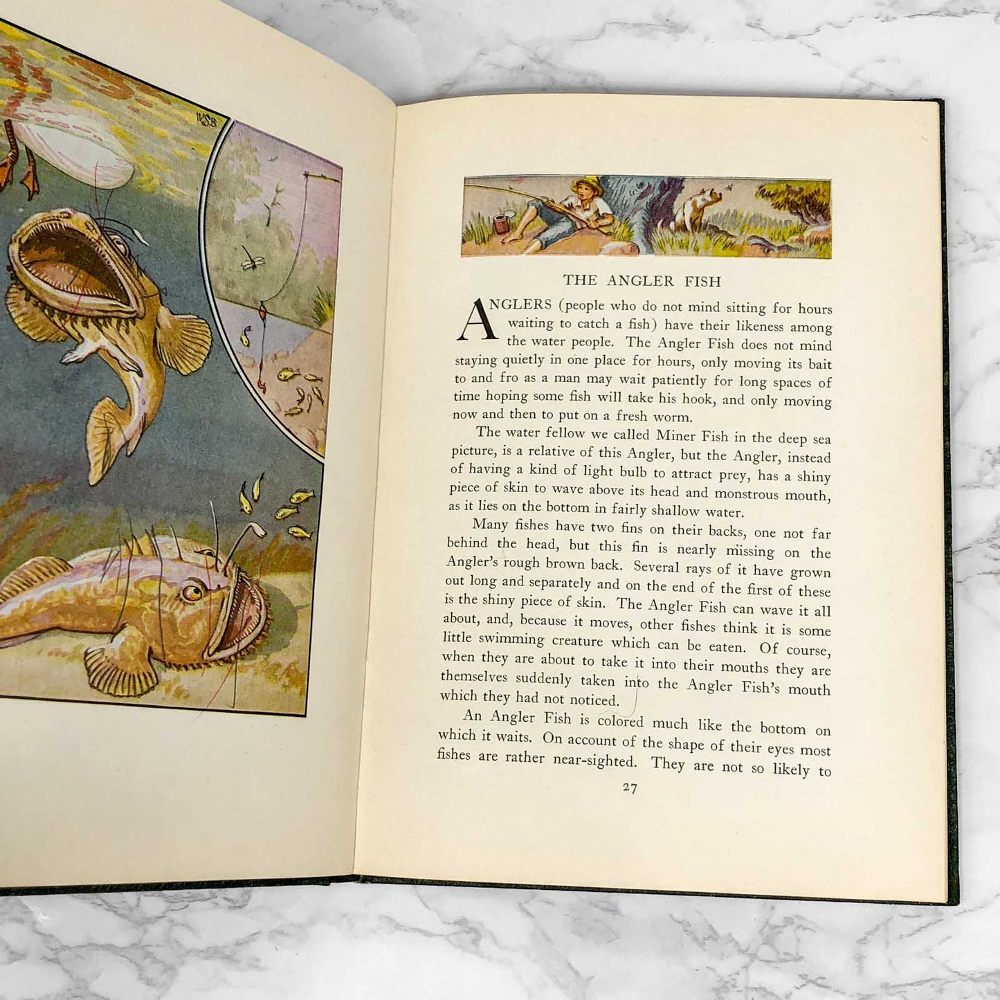 Water People by Wilfrid Swancourt Bronson [1935 HARDCOVER]