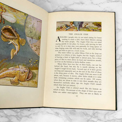 Water People by Wilfrid Swancourt Bronson [1935 HARDCOVER]