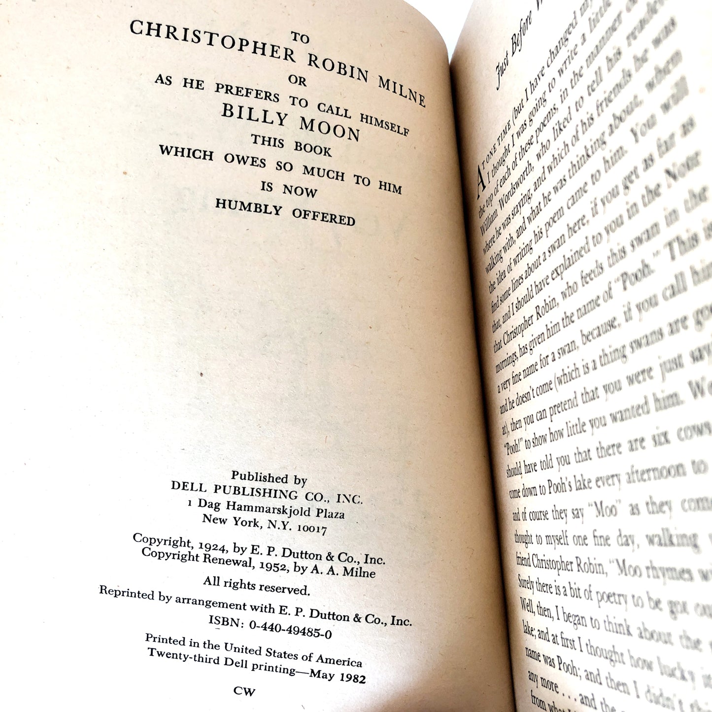 When We Were Very Young by A.A. Milne [TRADE PAPERBACK / 1982]