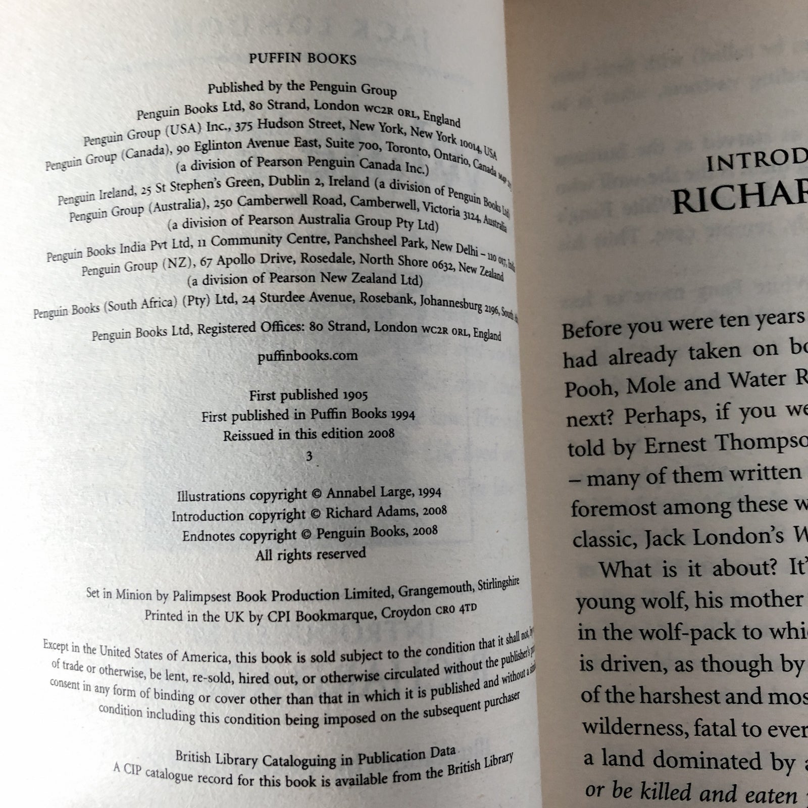 White Fang by Jack London [UK PAPERBACK] - Bookshop Apocalypse