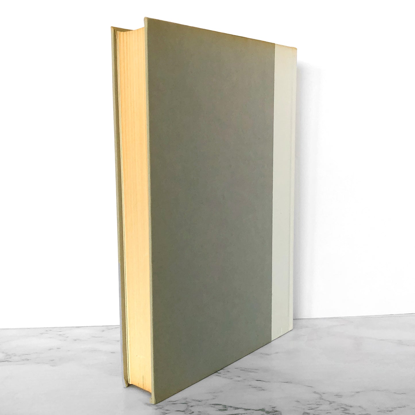 White Noise by Don Delillo [FIRST BOOK CLUB EDITION / 1985]