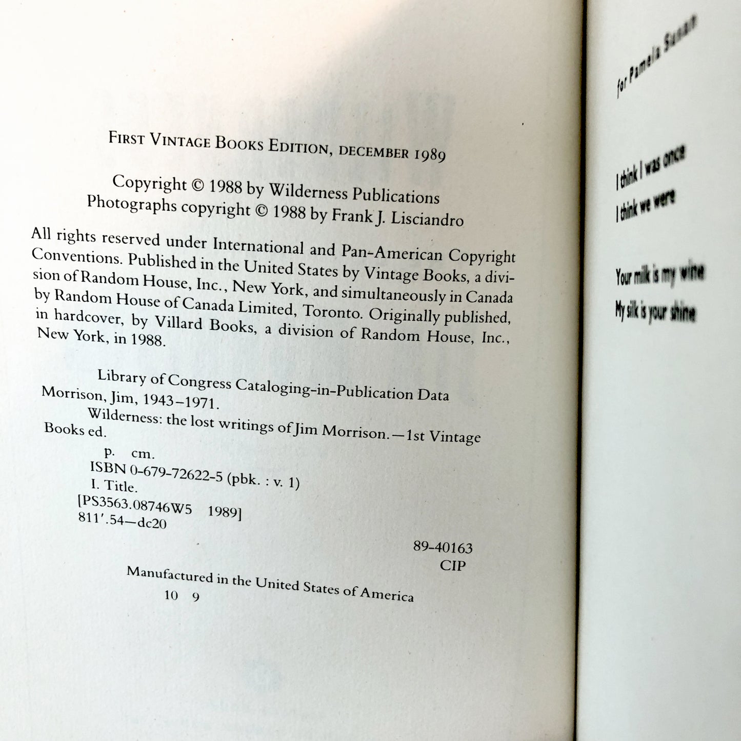 Wilderness: The Lost Writings of Jim Morrison, Vol. 1 [1989 PAPERBACK]