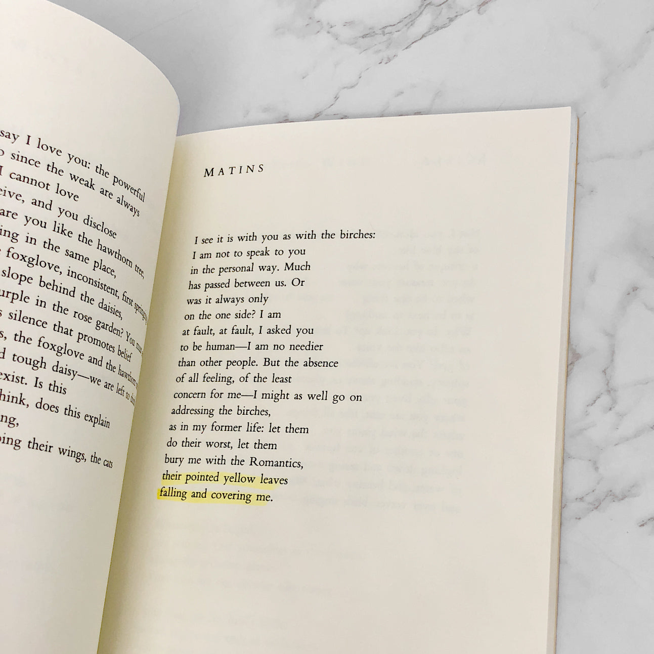 The Wild Iris by Louise Glück [FIRST PAPERBACK PRINTING] 1992 • The Ecco Press