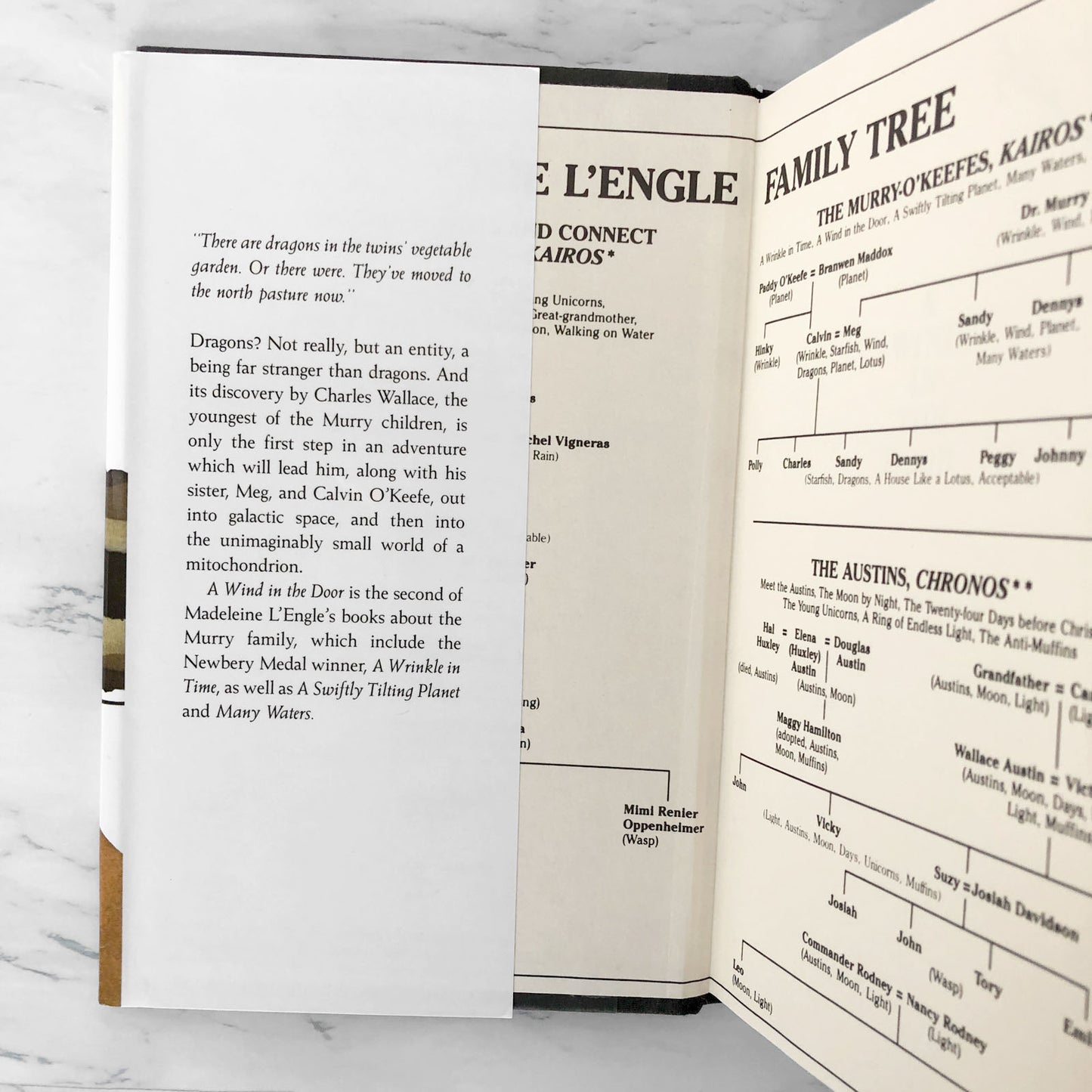 A Wind in the Door by Madeleine L'Engle [SECOND EDITION / 1995]