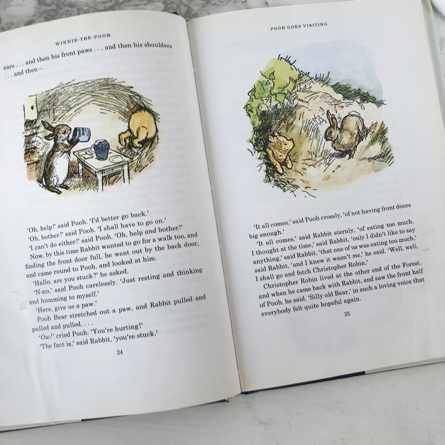 Winnie the Pooh by A.A. Milne [ILLUSTRATED UK EDITION] - Bookshop Apocalypse