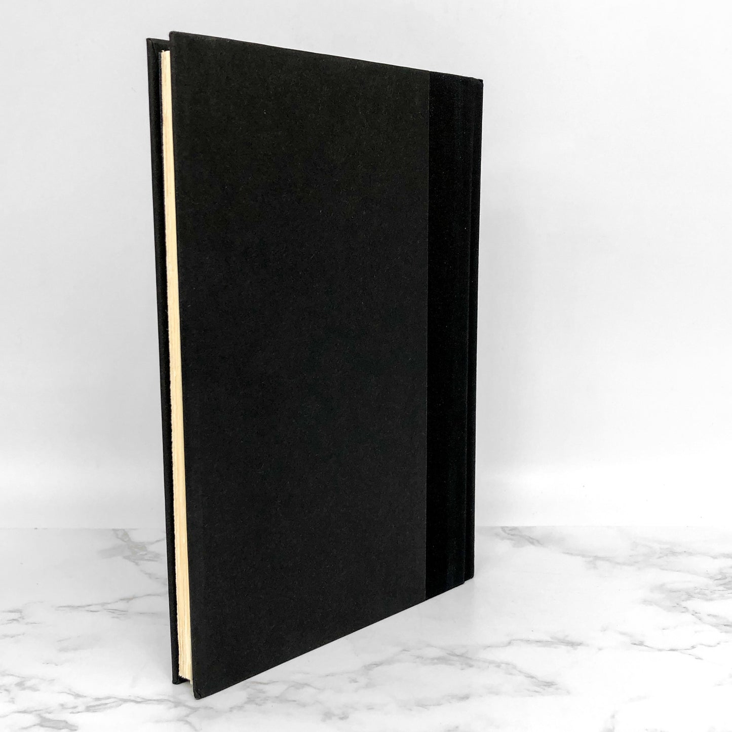 Witches & Witch Hunts: A History of Persecution by Milton Meltzer [FIRST EDITION] 1999