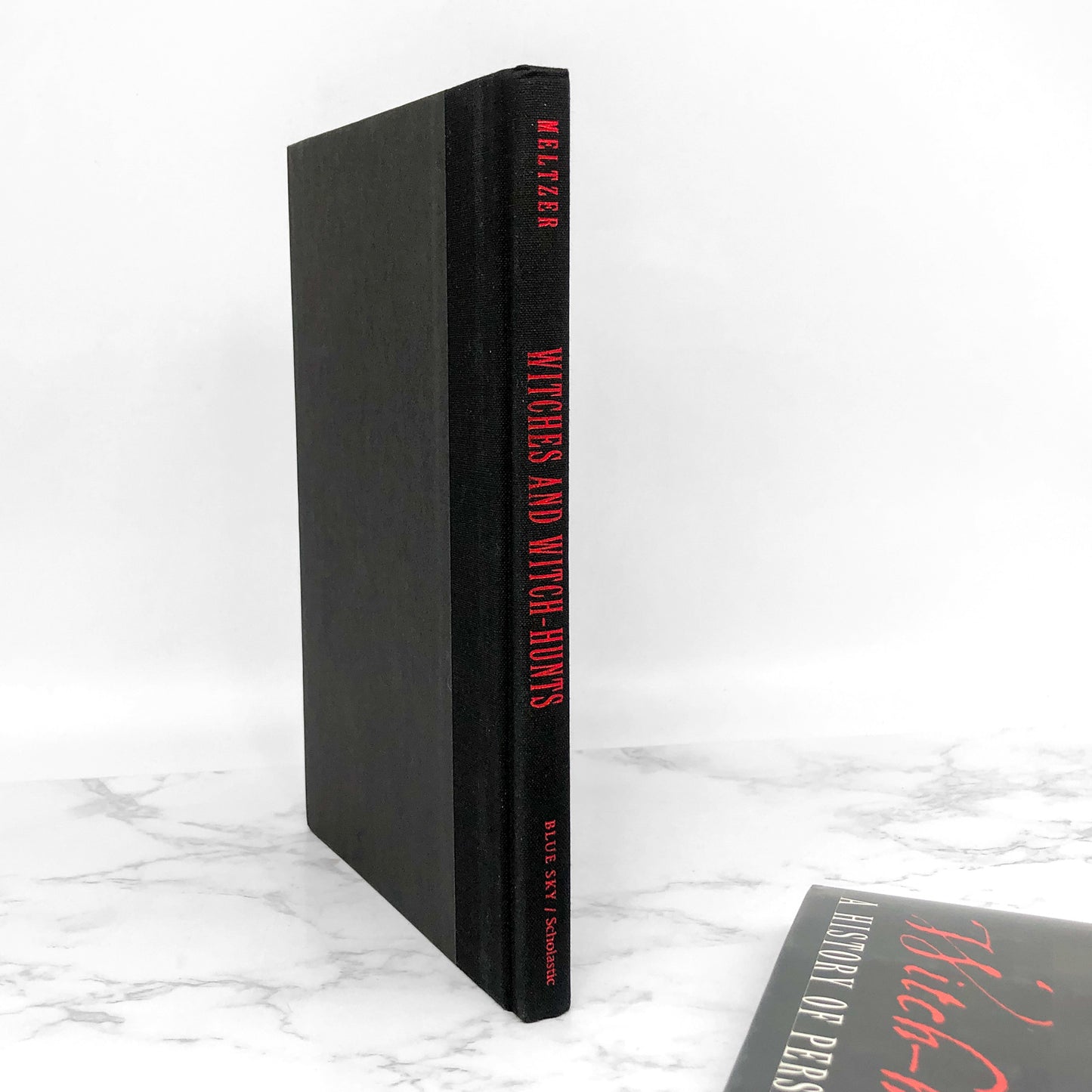 Witches & Witch Hunts: A History of Persecution by Milton Meltzer [FIRST EDITION] 1999