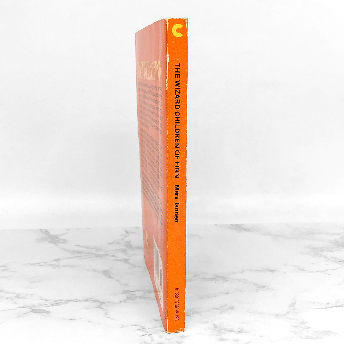 The Wizard Children of Finn by Mary Tannen [FIRST PAPERBACK PRINTING] 1982