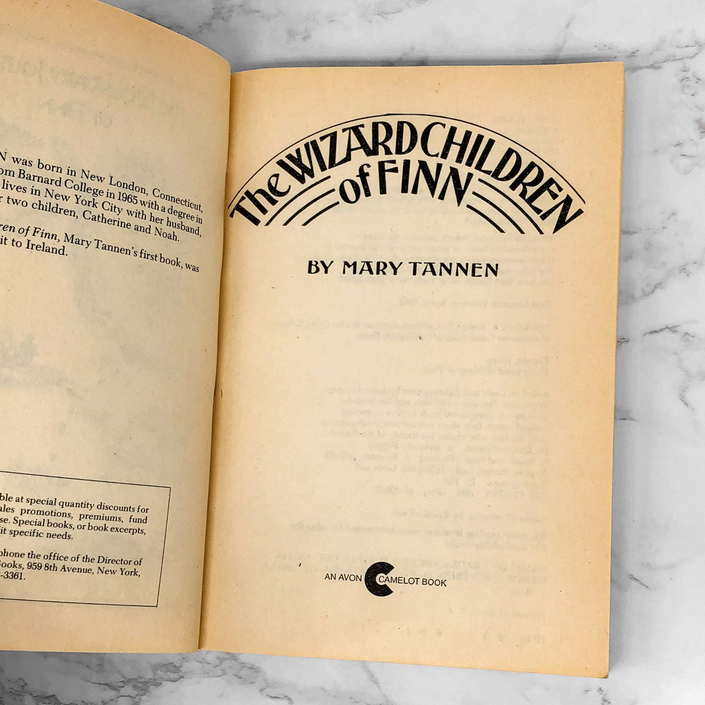 The Wizard Children of Finn by Mary Tannen [FIRST PAPERBACK PRINTING] 1982