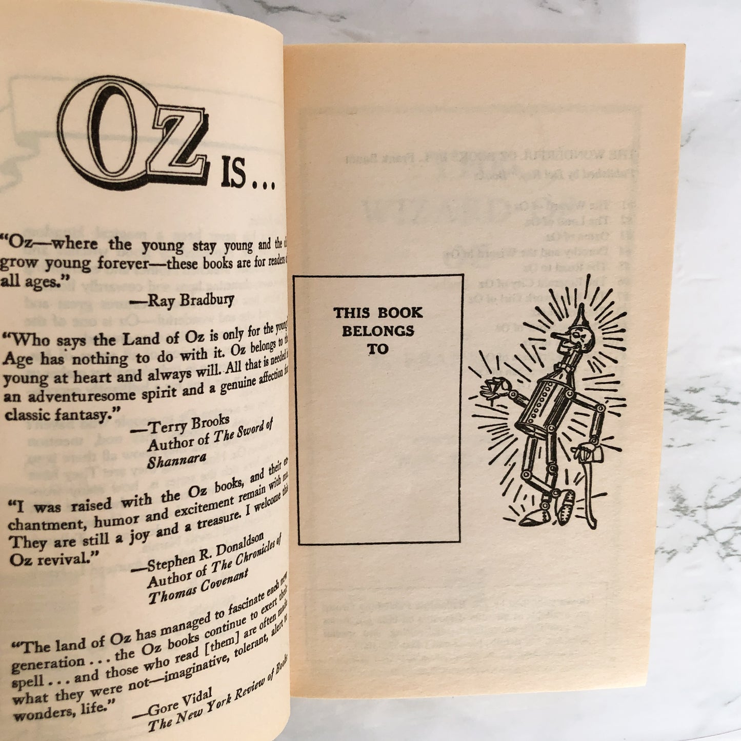 The Wonderful Wizard of Oz by L. Frank Baum [1986 PAPERBACK] Del-Rey Fantasy • Oz #1