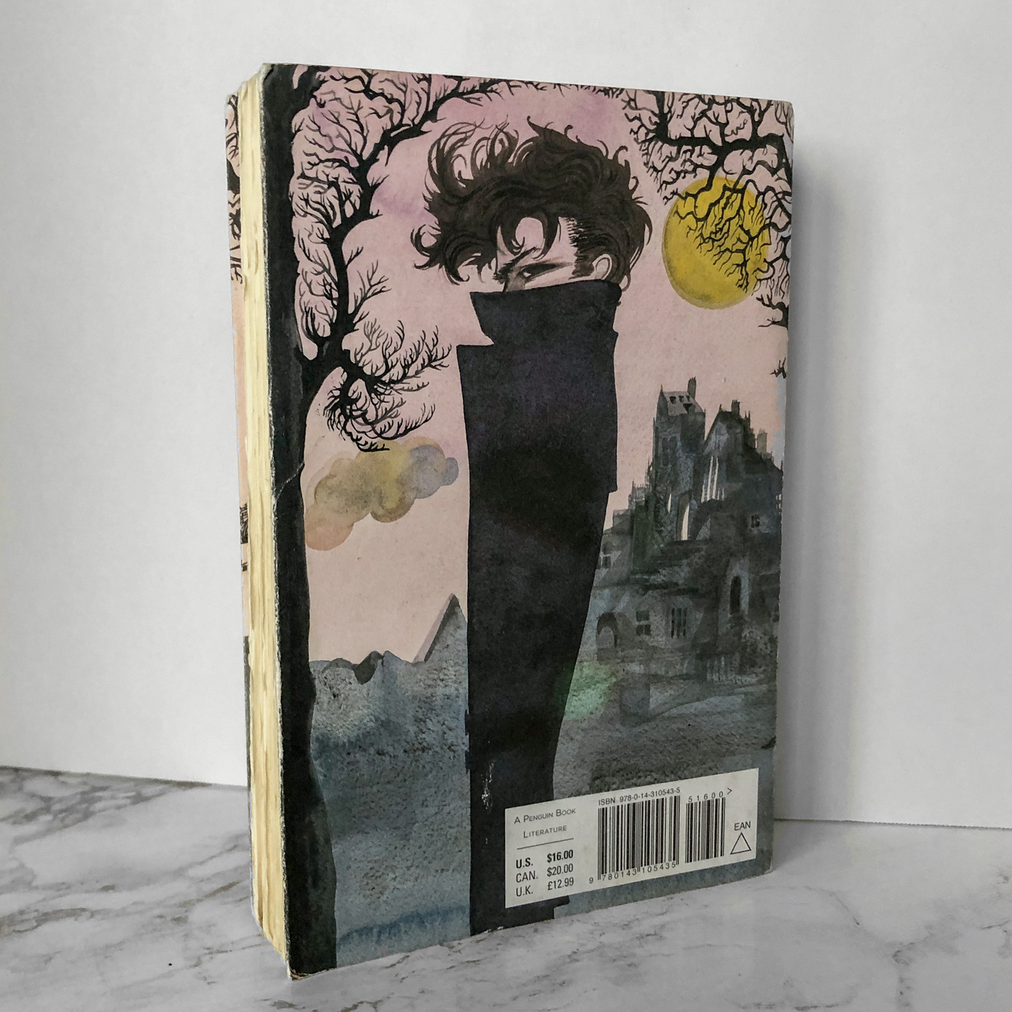 Wuthering Heights by Emily Bronte [DELUXE EDITION] - Bookshop Apocalypse